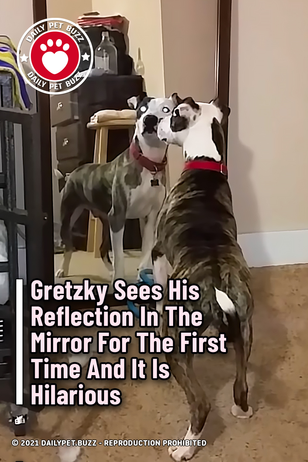 Gretzky Sees His Reflection In The Mirror For The First Time And It Is Hilarious