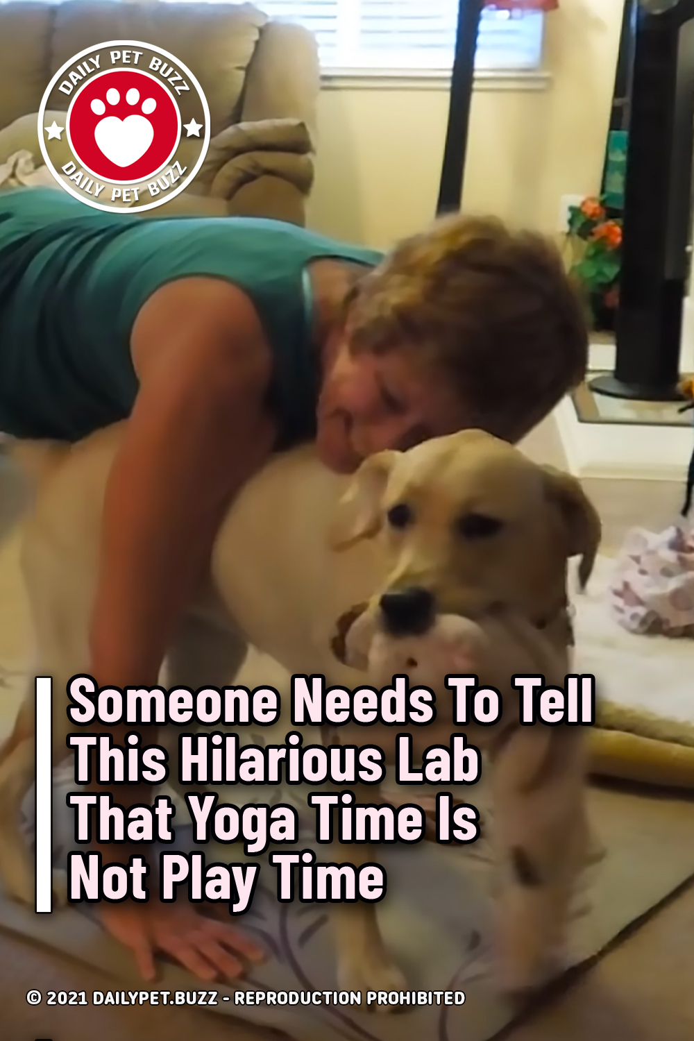 Someone Needs To Tell This Hilarious Lab That Yoga Time Is Not Play Time