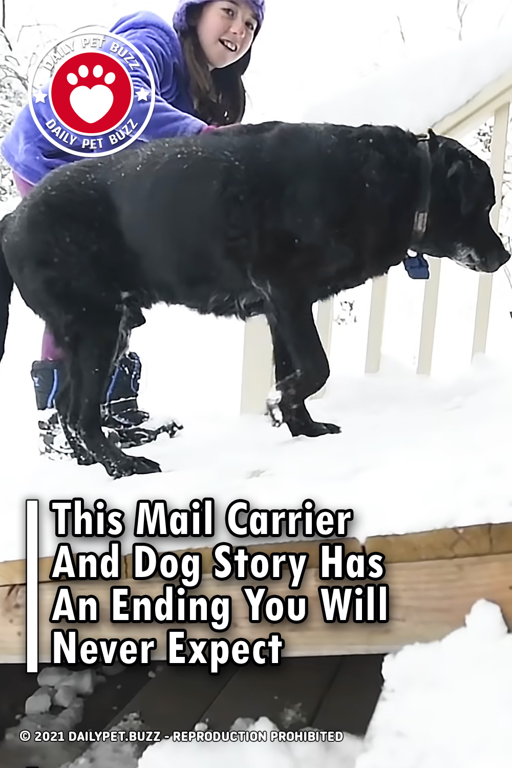 This Mail Carrier And Dog Story Has An Ending You Will Never Expect