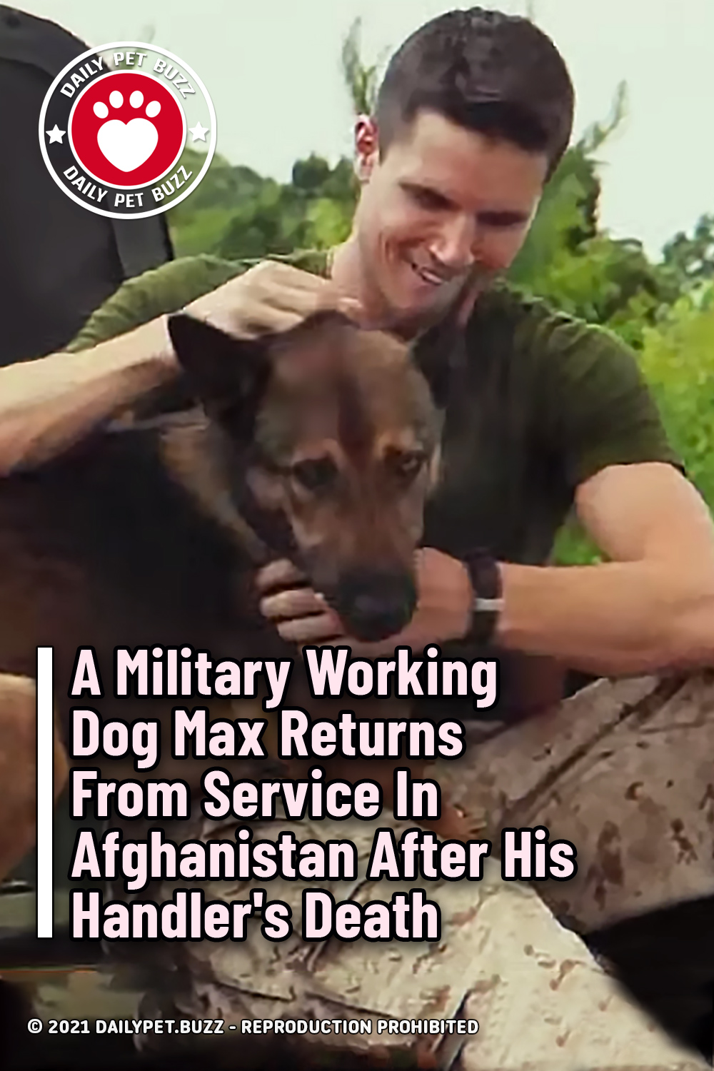 A Military Working Dog Max Returns From Service In Afghanistan After His Handler\'s Death