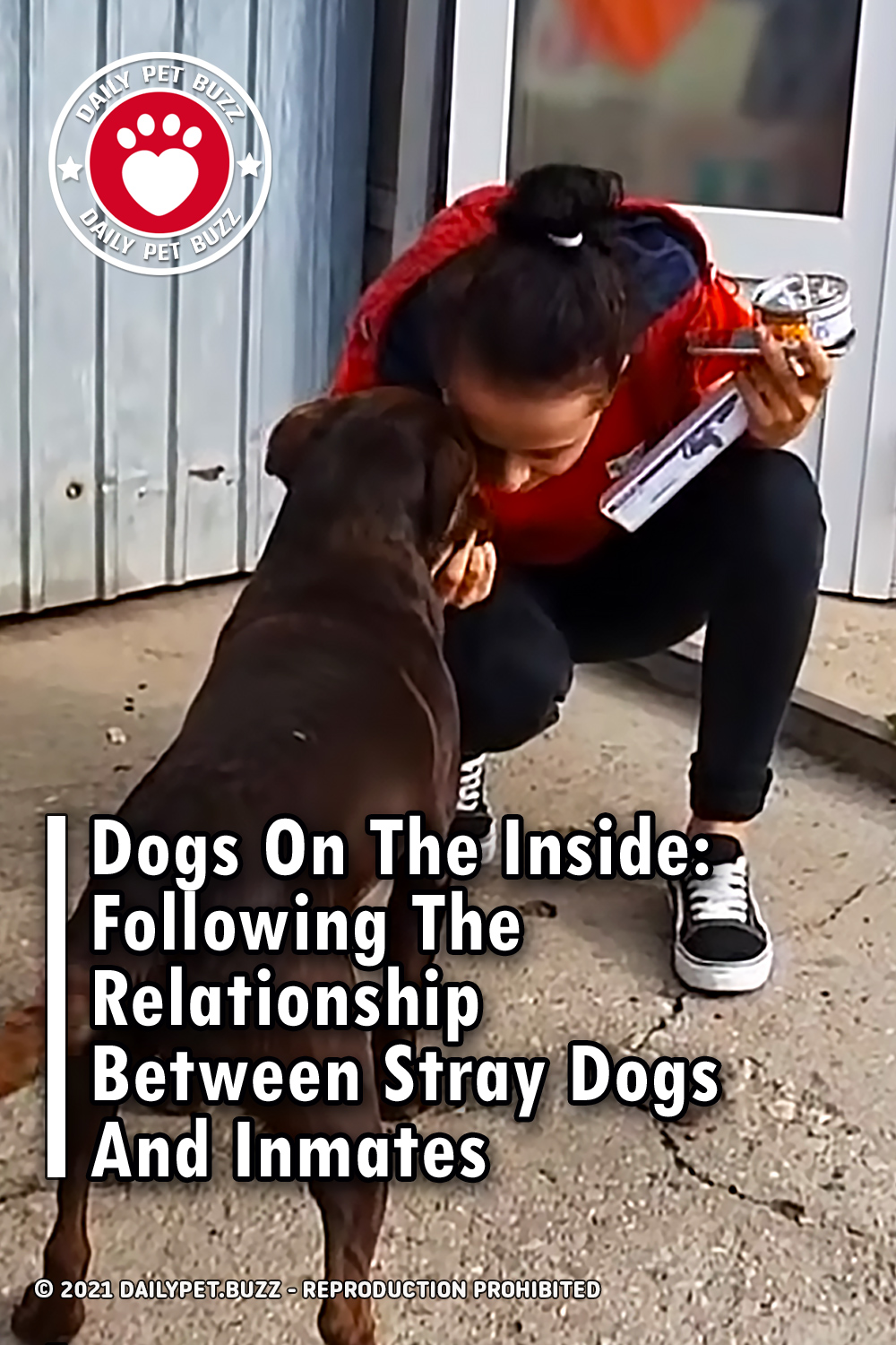 Dogs On The Inside: Following The Relationship Between Stray Dogs And Inmates