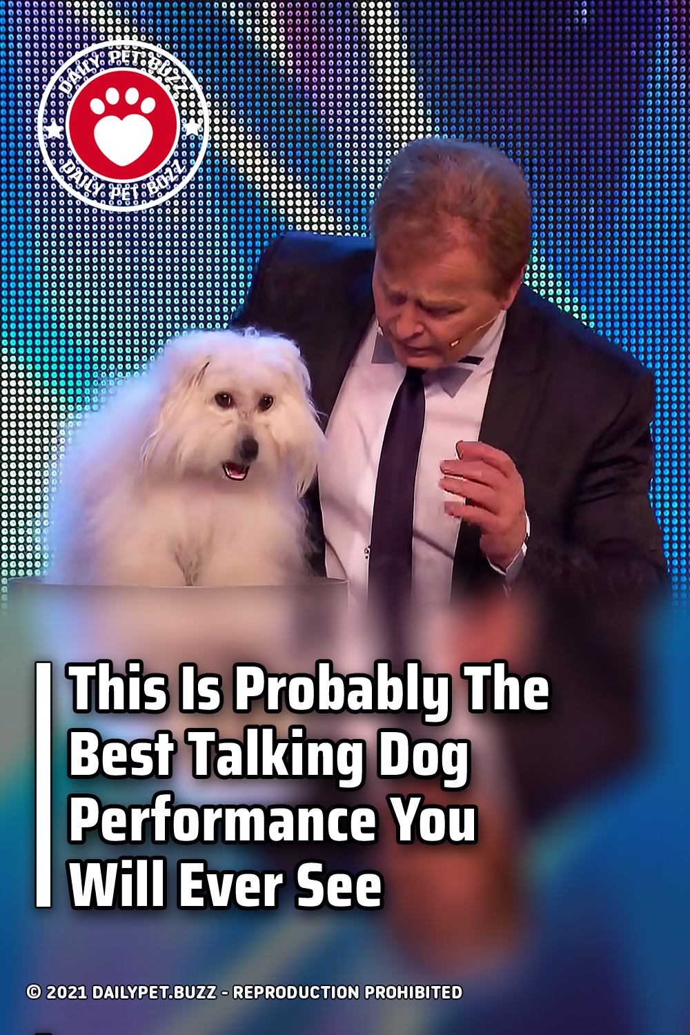 This Is Probably The Best Talking Dog Performance You Will Ever See
