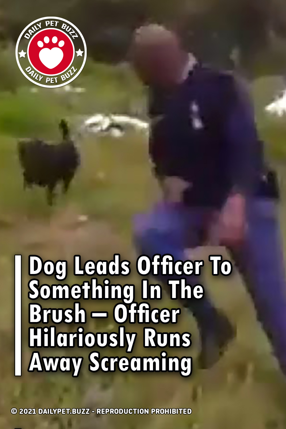 Dog Leads Officer To Something In The Brush – Officer Hilariously Runs Away Screaming