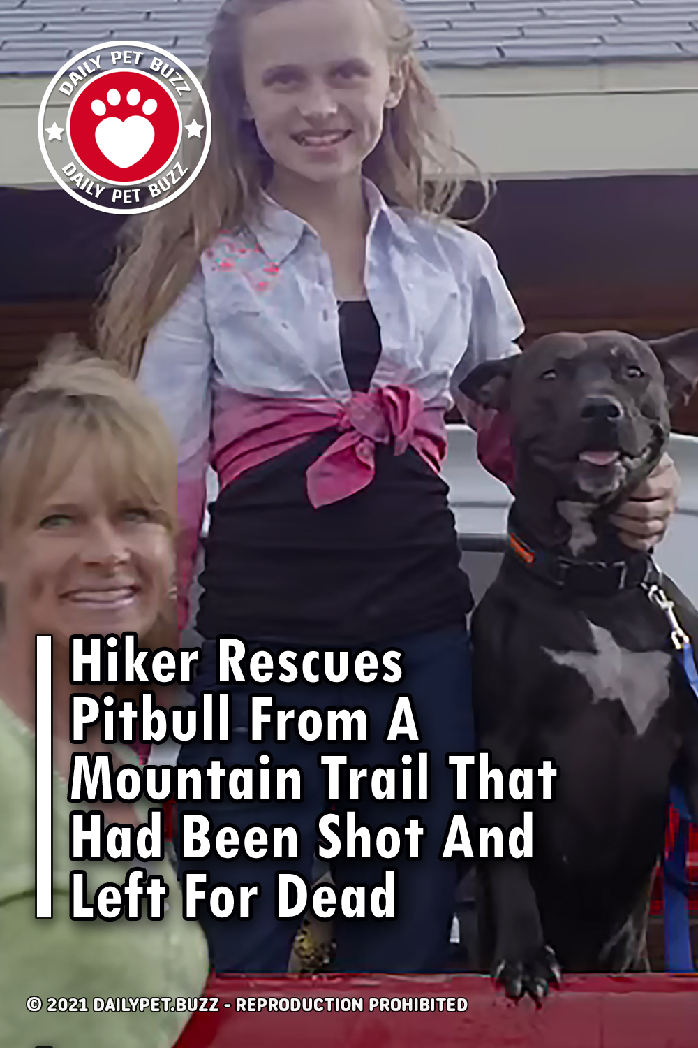 Hiker Rescues Pitbull From A Mountain Trail That Had Been Shot And Left For Dead
