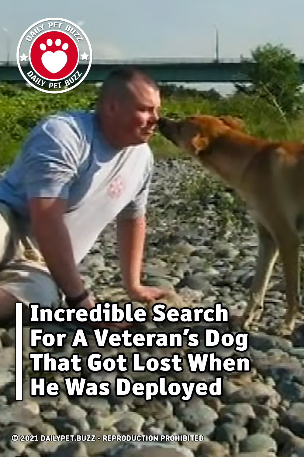 Incredible Search For A Veteran\'s Dog That Got Lost When He Was Deployed