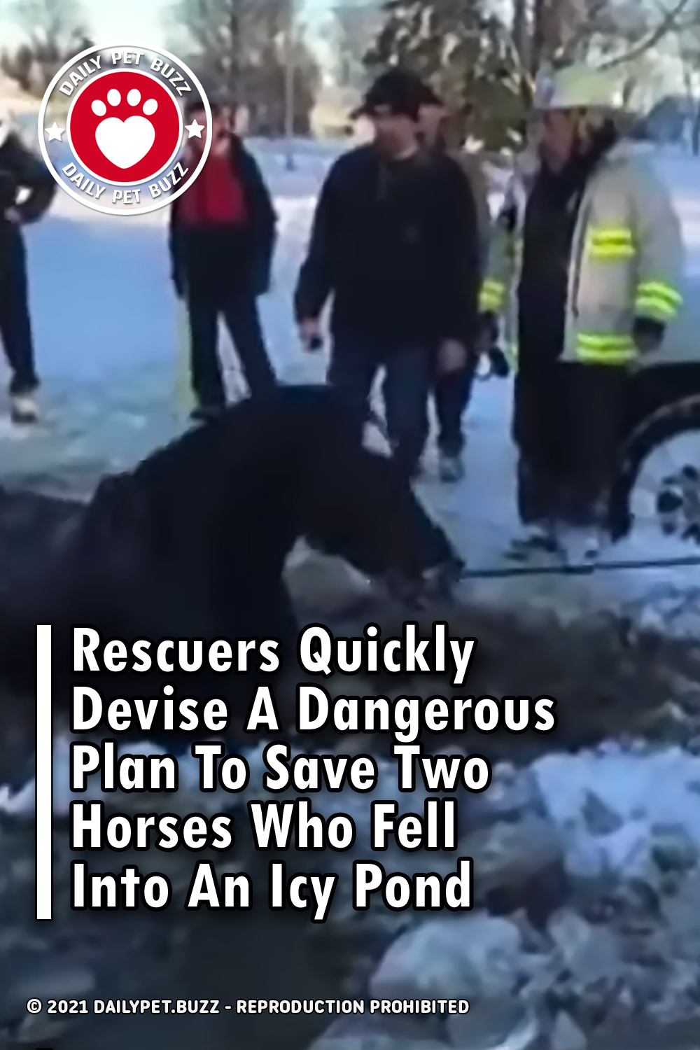 Rescuers Quickly Devise A Dangerous Plan To Save Two Horses Who Fell Into An Icy Pond