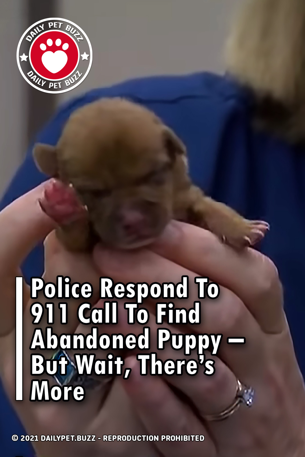 Police Respond To 911 Call To Find Abandoned Puppy – But Wait, There\'s More