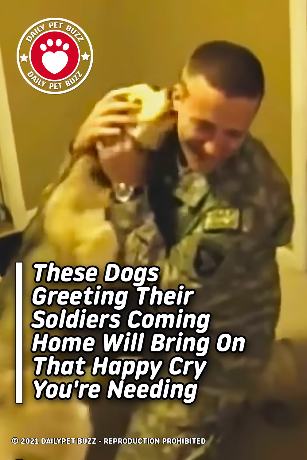 These Dogs Greeting Their Soldiers Coming Home Will Bring On That Happy Cry You\'re Needing