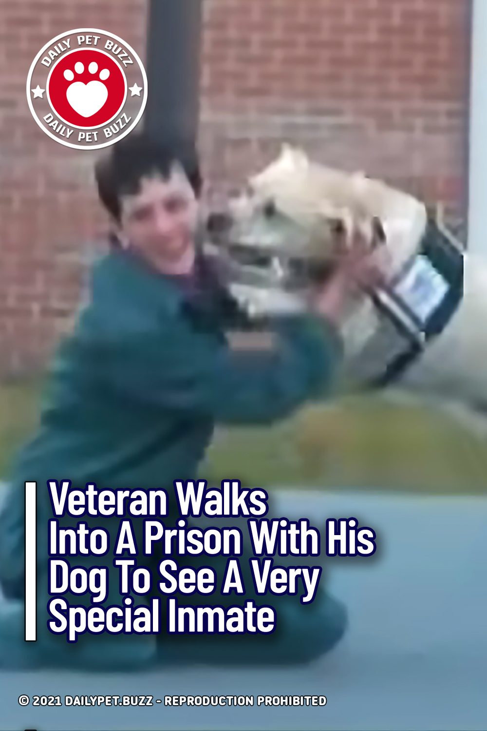 Veteran Walks Into A Prison With His Dog To See A Very Special Inmate