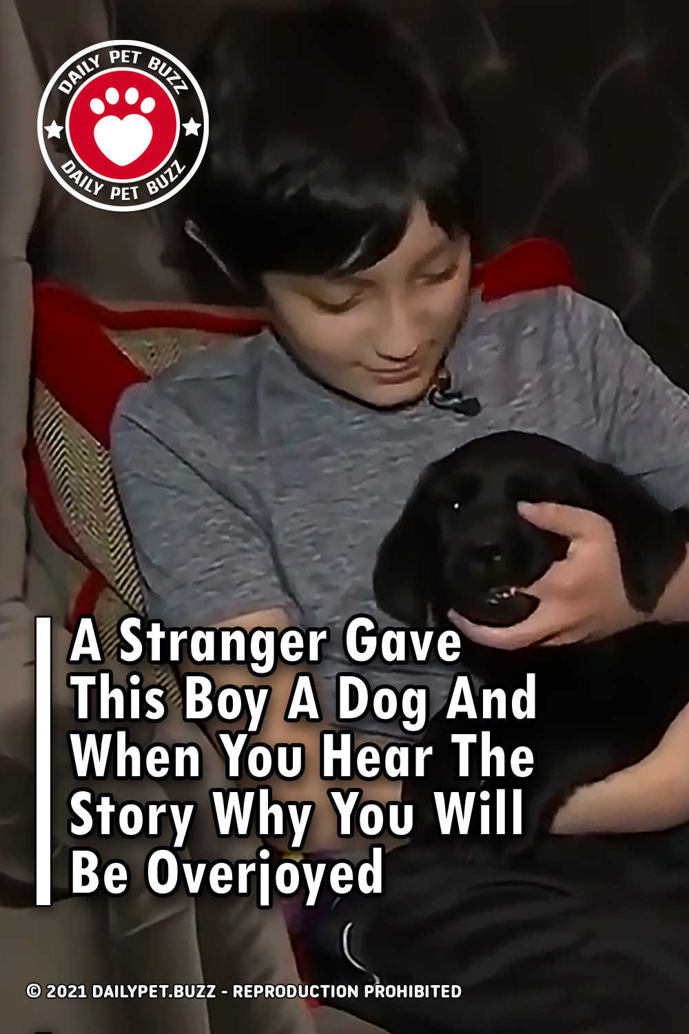A Stranger Gave This Boy A Dog And When You Hear The Story Why You Will Be Overjoyed