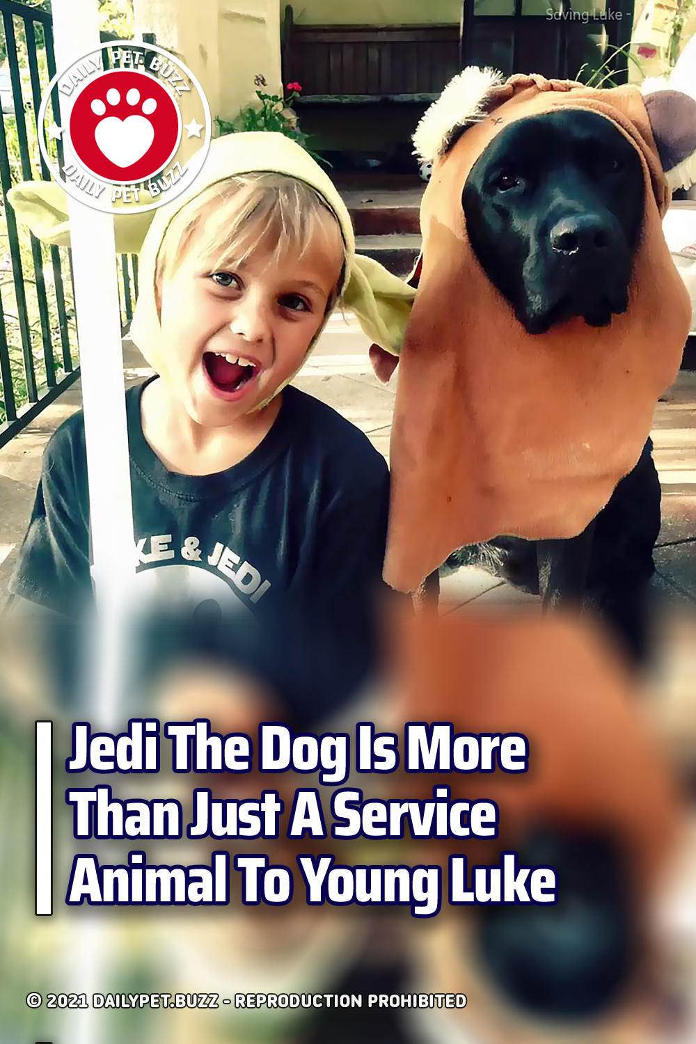 Jedi The Dog Is More Than Just A Service Animal To Young Luke