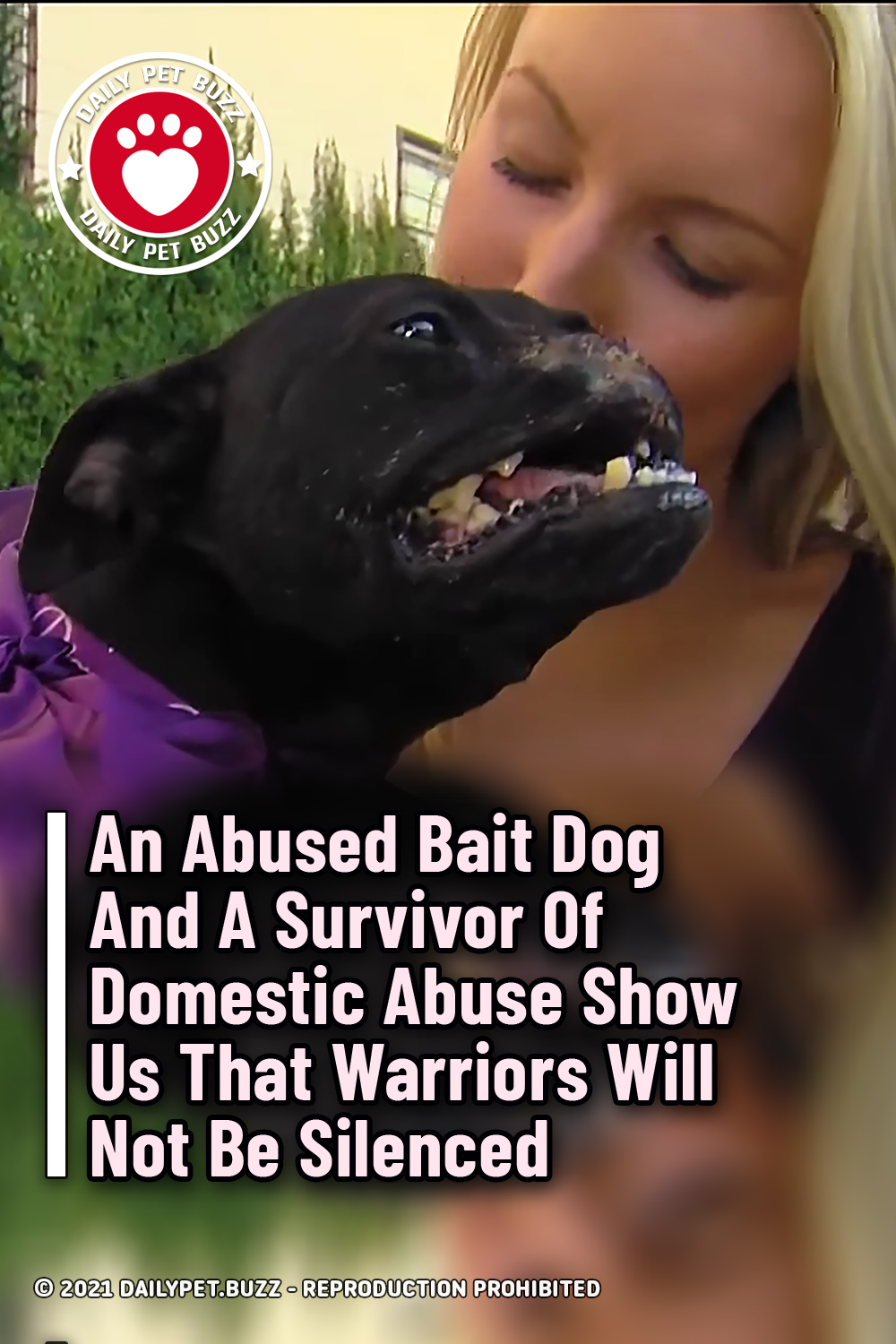 An Abused Bait Dog And A Survivor Of Domestic Abuse Show Us That Warriors Will Not Be Silenced
