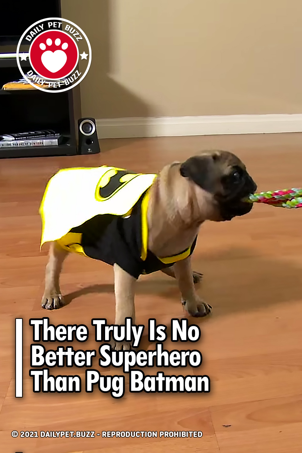 There Truly Is No Better Superhero Than Pug Batman