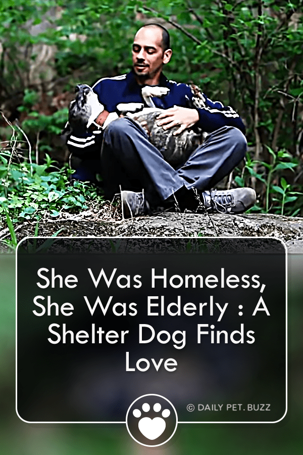 She Was Homeless, She Was Elderly: A Shelter Dog Finds Love