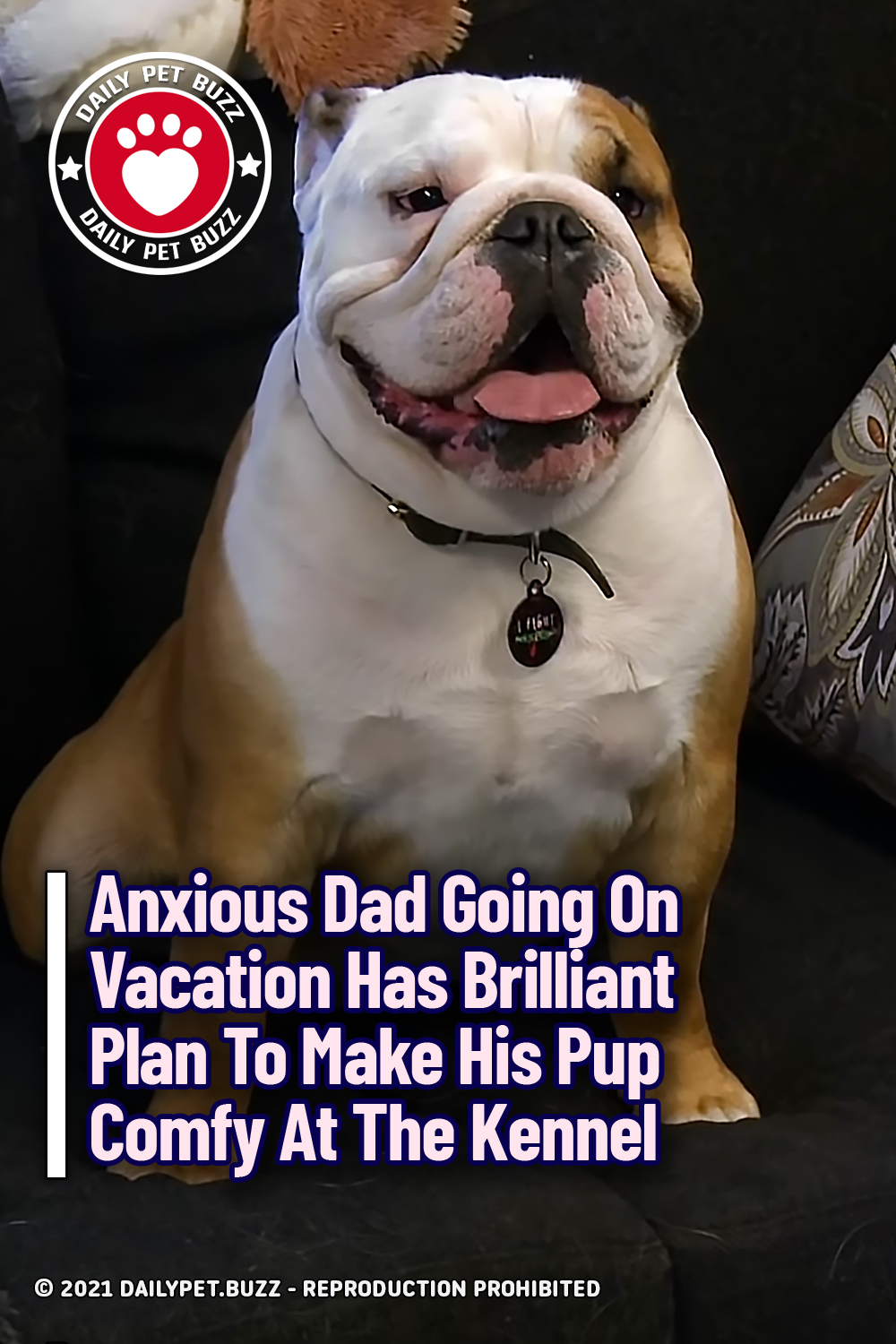 Anxious Dad Going On Vacation Has Brilliant Plan To Make His Pup Comfy At The Kennel
