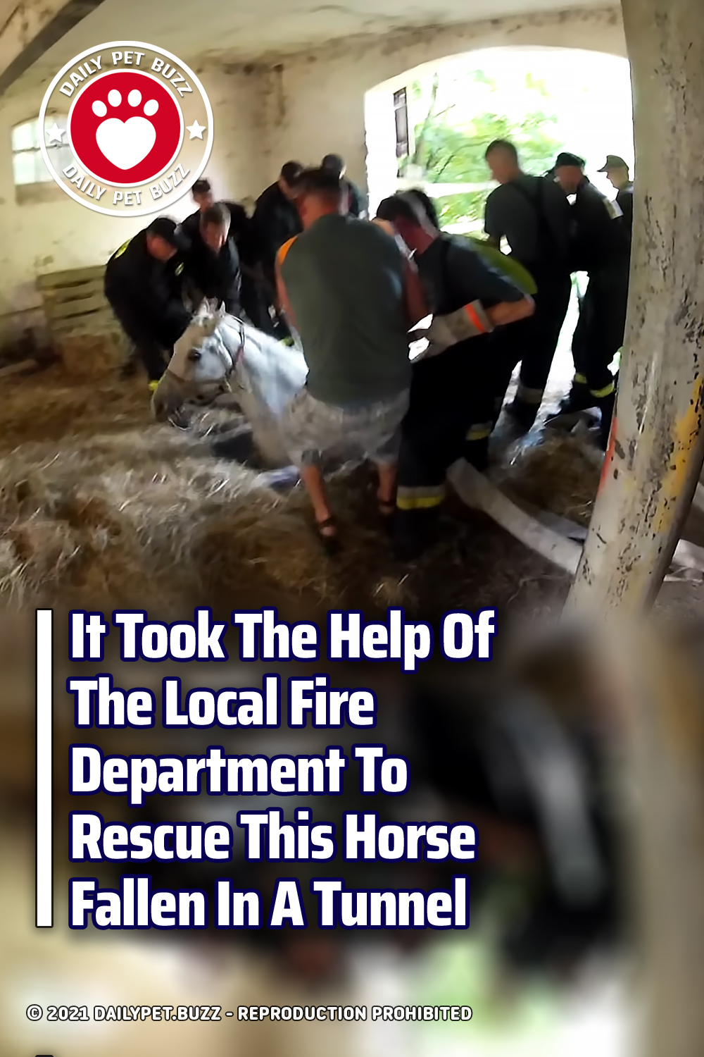 It Took The Help Of The Local Fire Department To Rescue This Horse Fallen In A Tunnel
