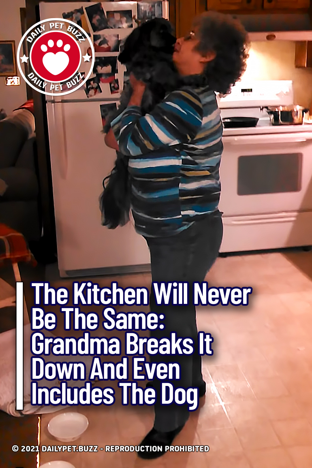 The Kitchen Will Never Be The Same: Grandma Breaks It Down And Even Includes The Dog