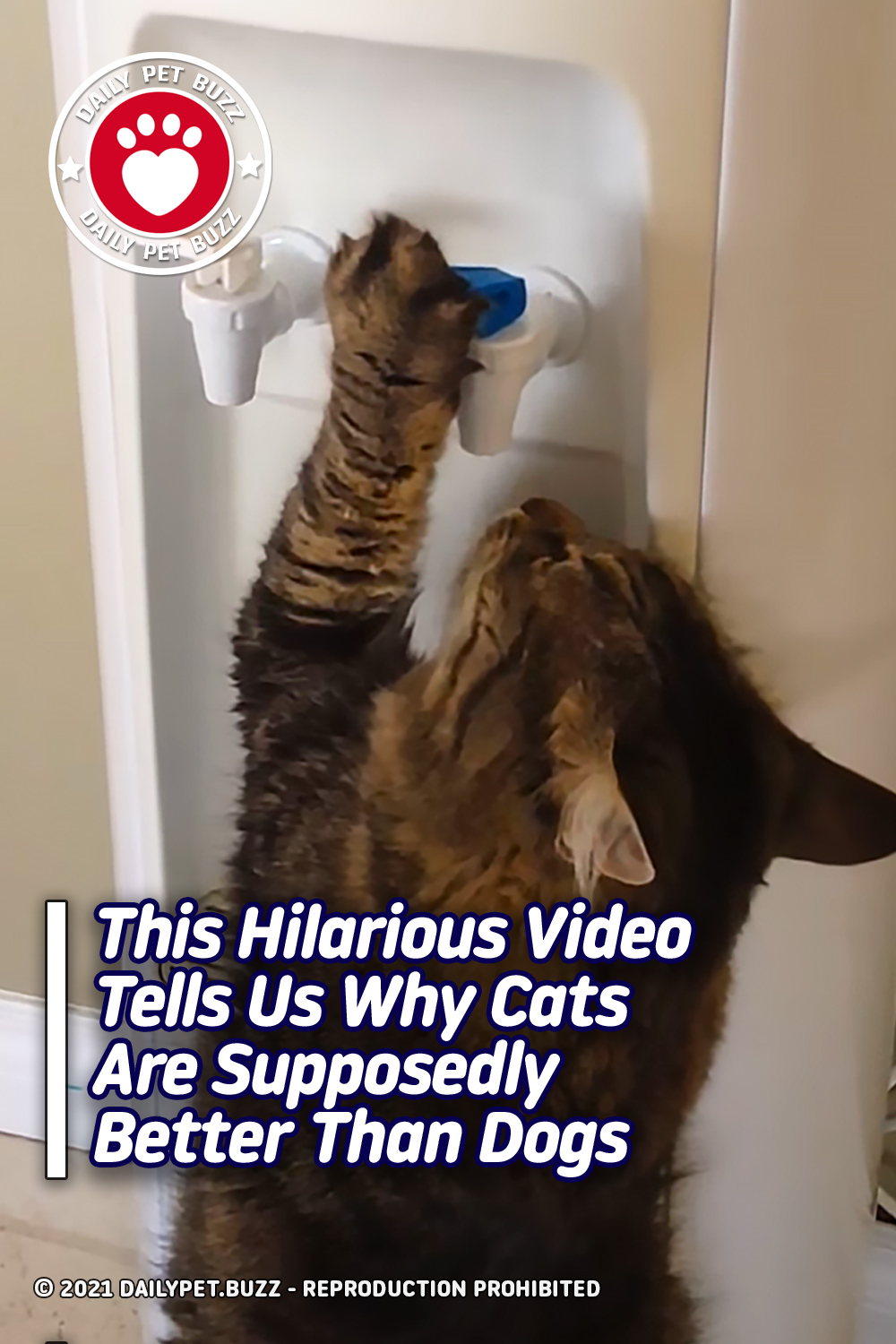 This Hilarious Video Tells Us Why Cats Are Supposedly Better Than Dogs