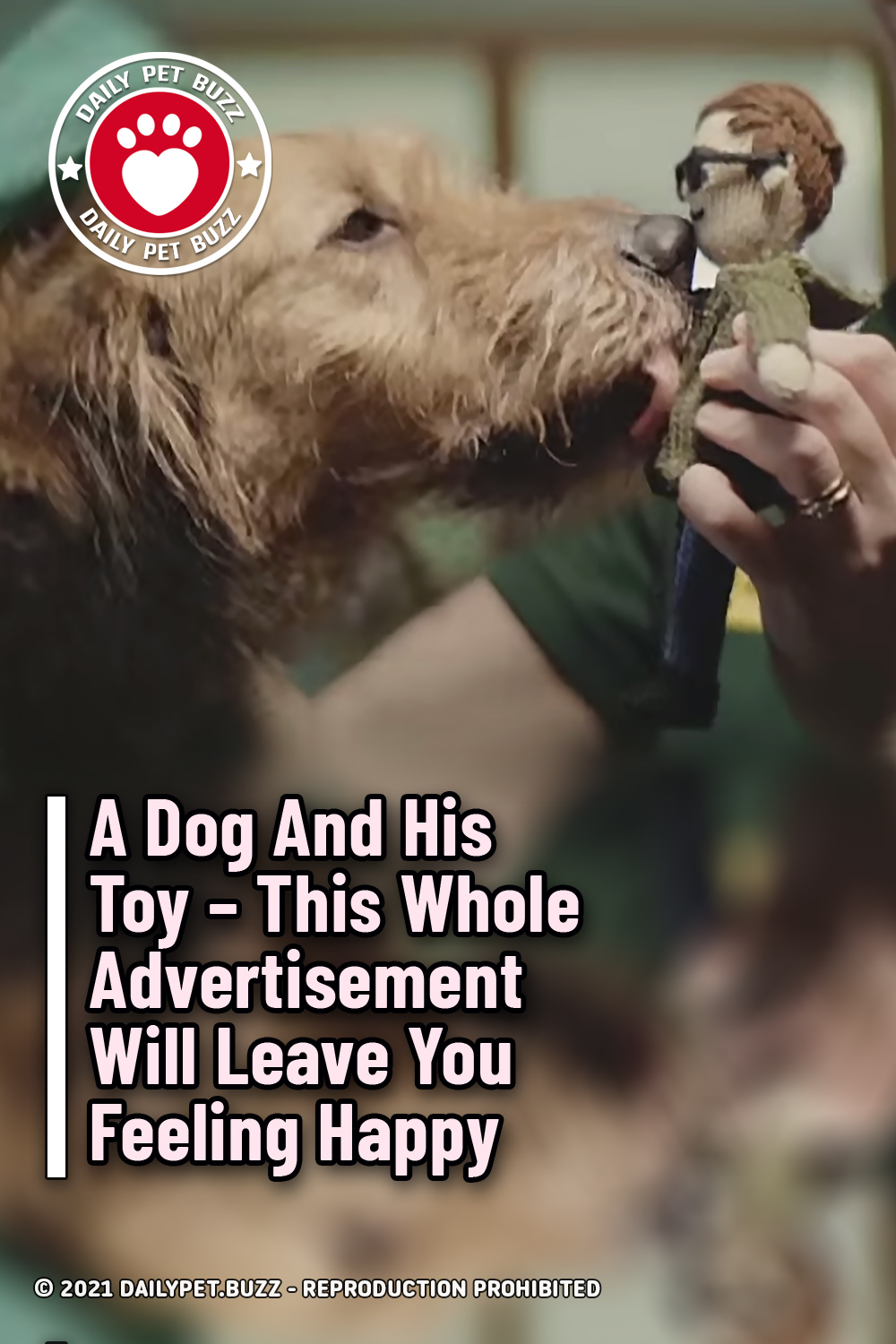 A Dog And His Toy – This Whole Advertisement Will Leave You Feeling Happy