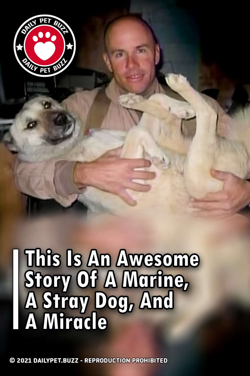 This Is An Awesome Story Of A Marine, A Stray Dog, And A Miracle