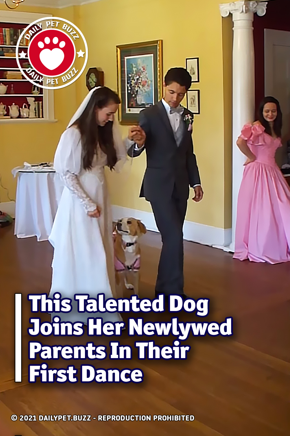 This Talented Dog Joins Her Newlywed Parents In Their First Dance