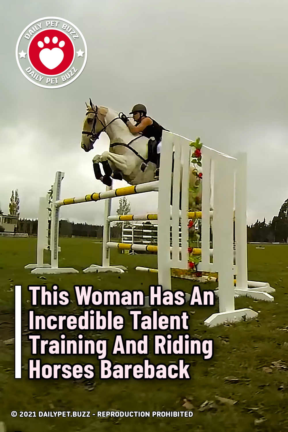 This Woman Has An Incredible Talent Training And Riding Horses Bareback