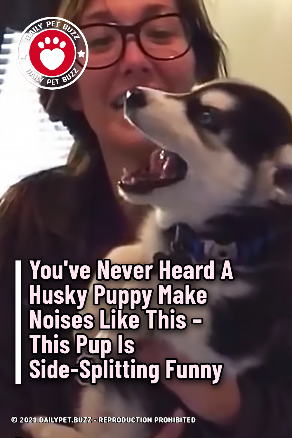 You\'ve Never Heard A Husky Puppy Make Noises Like This – This Pup Is Side-Splitting Funny