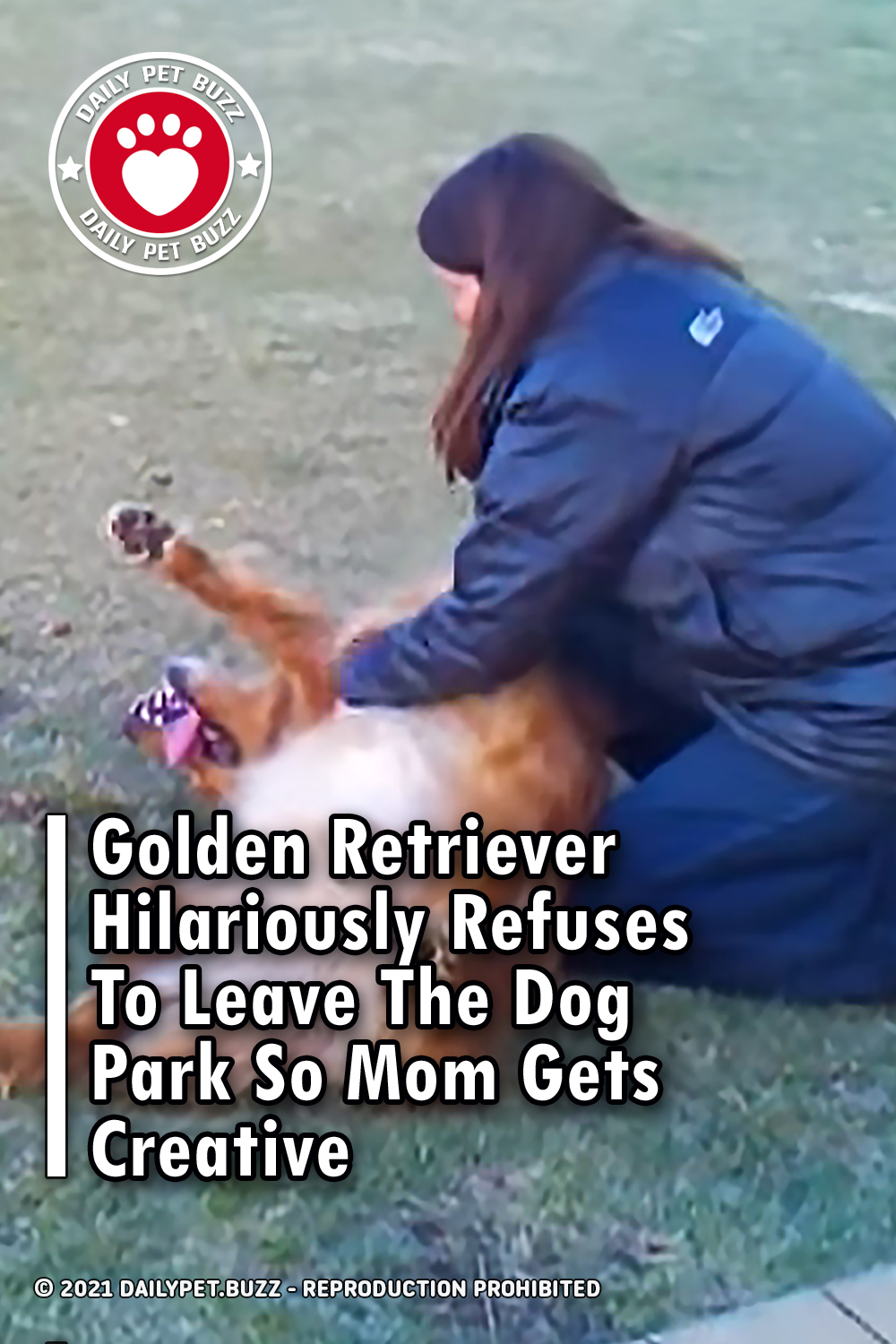 Golden Retriever Hilariously Refuses To Leave The Dog Park So Mom Gets Creative