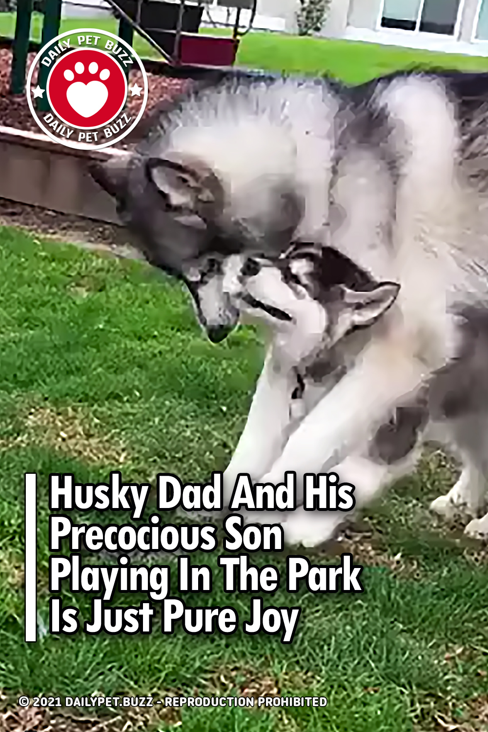 Husky Dad And His Precocious Son Playing In The Park Is Just Pure Joy