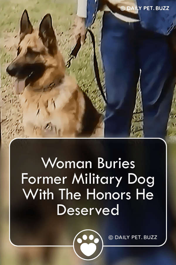 Woman Buries Former Military Dog With The Honors He Deserved