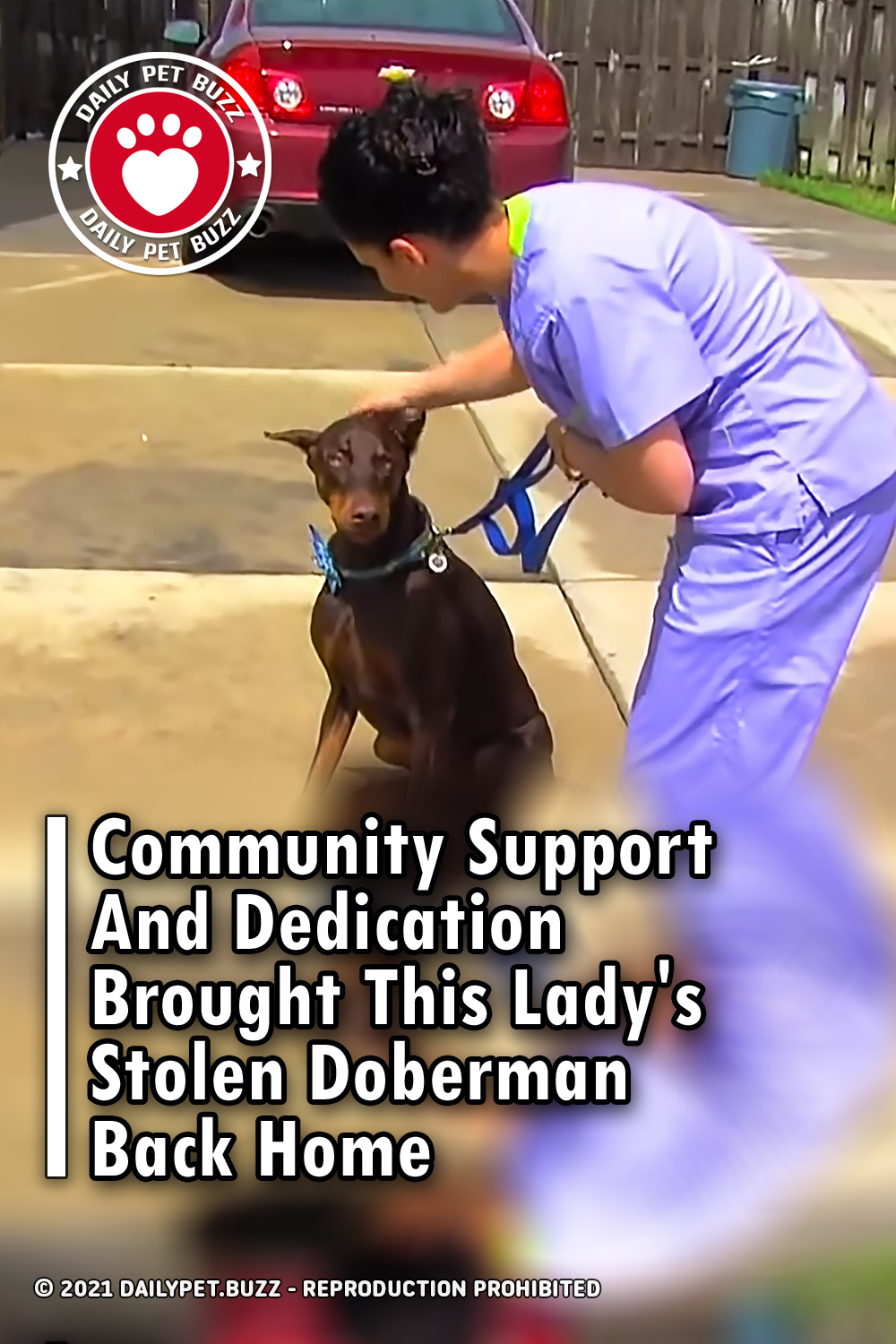 Community Support And Dedication Brought This Lady\'s Stolen Doberman Back Home
