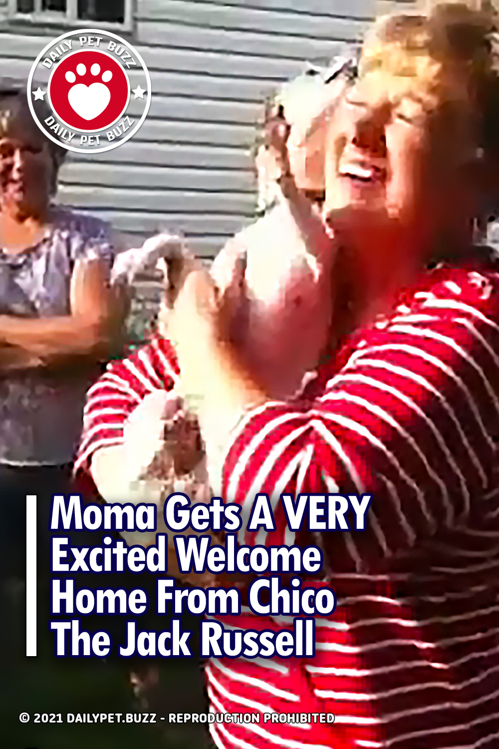 Moma Gets A VERY Excited Welcome Home From Chico The Jack Russell