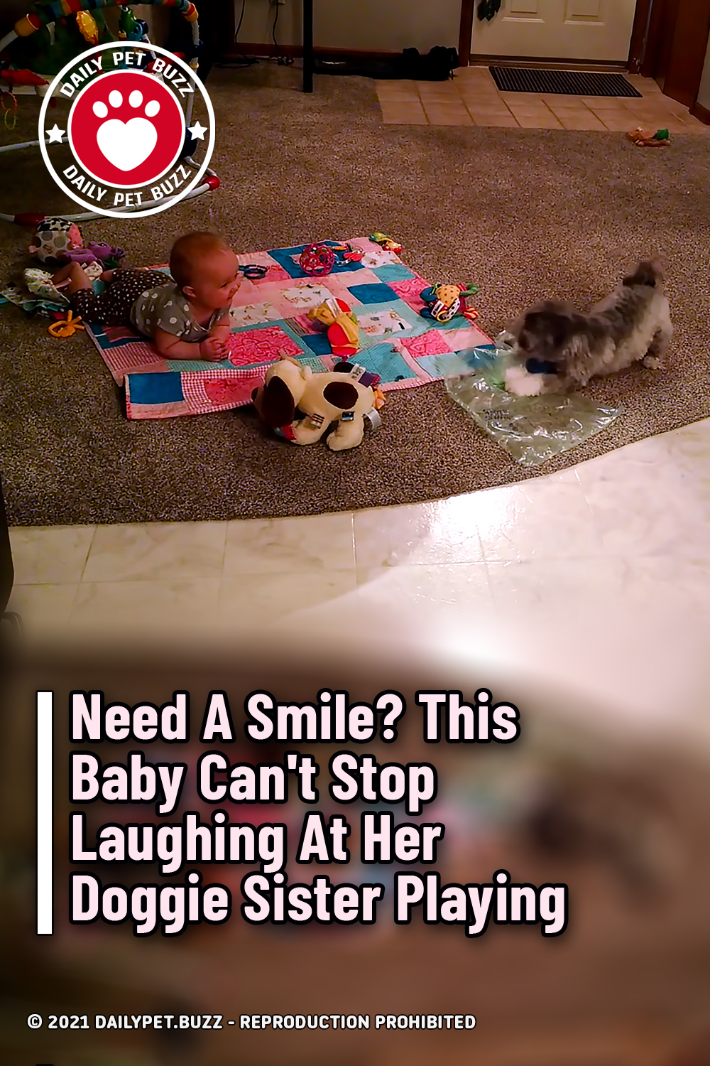 Need A Smile? This Baby Can\'t Stop Laughing At Her Doggie Sister Playing
