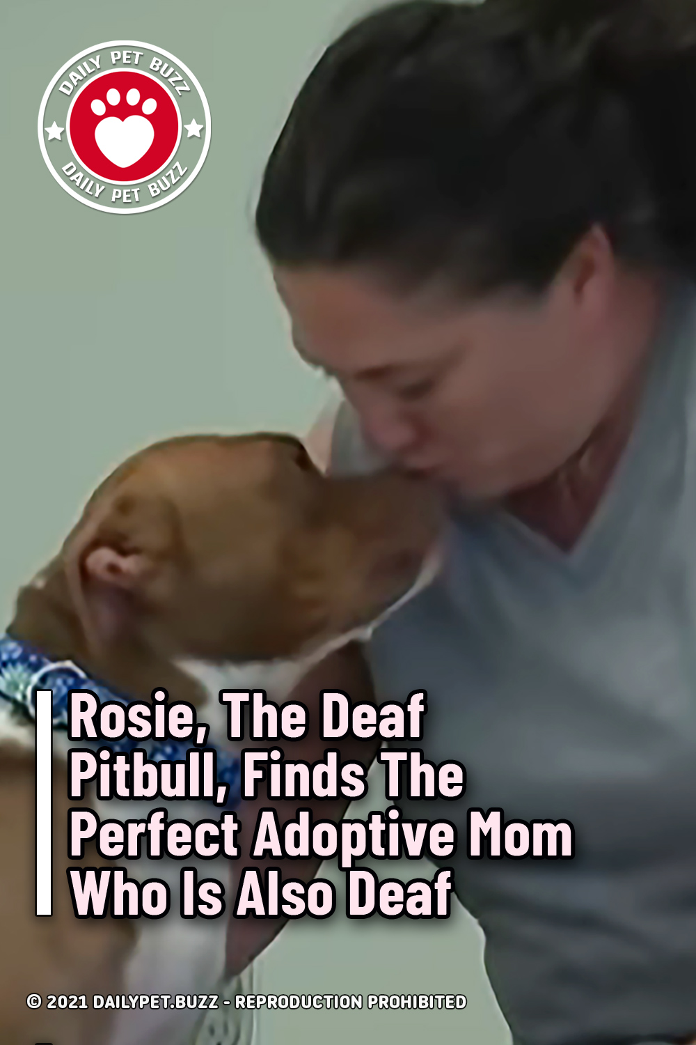 Rosie, The Deaf Pitbull, Finds The Perfect Adoptive Mom Who Is Also Deaf