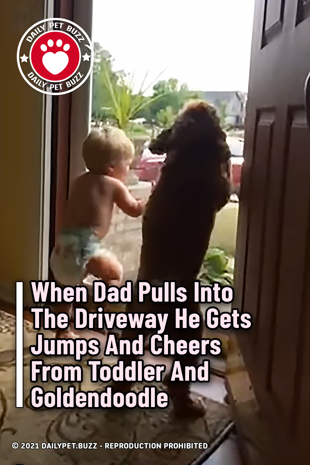 When Dad Pulls Into The Driveway He Gets Jumps And Cheers From Toddler And Goldendoodle