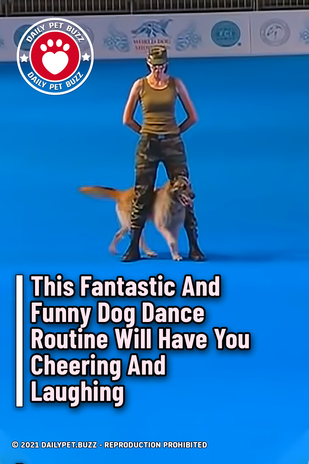 This Fantastic And Funny Dog Dance Routine Will Have You Cheering And Laughing