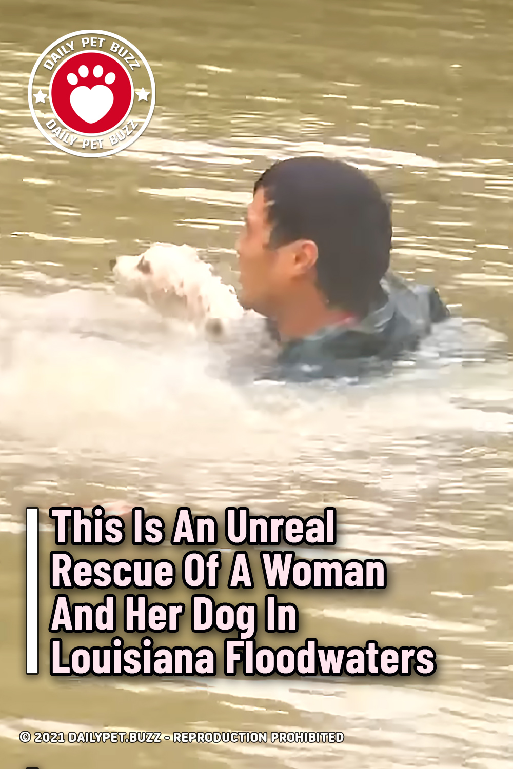 This Is An Unreal Rescue Of A Woman And Her Dog In Louisiana Floodwaters