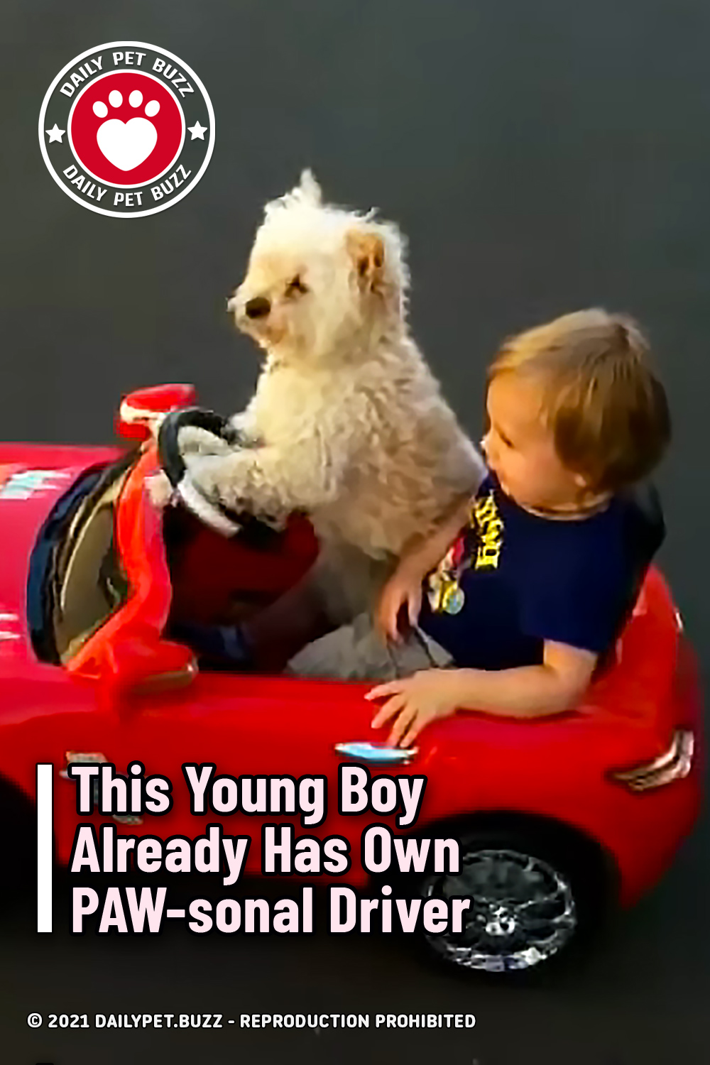This Young Boy Already Has Own PAW-sonal Driver