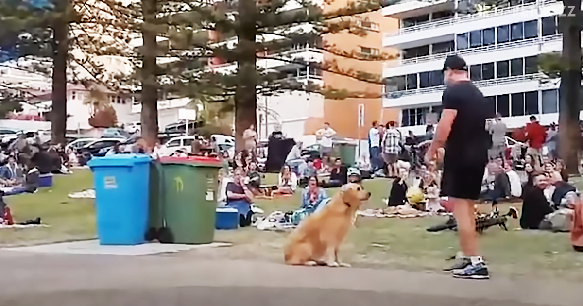 Dog Plays Dead To Avoid Going Home And The Footage Captured By Bystanders Is Going Viral