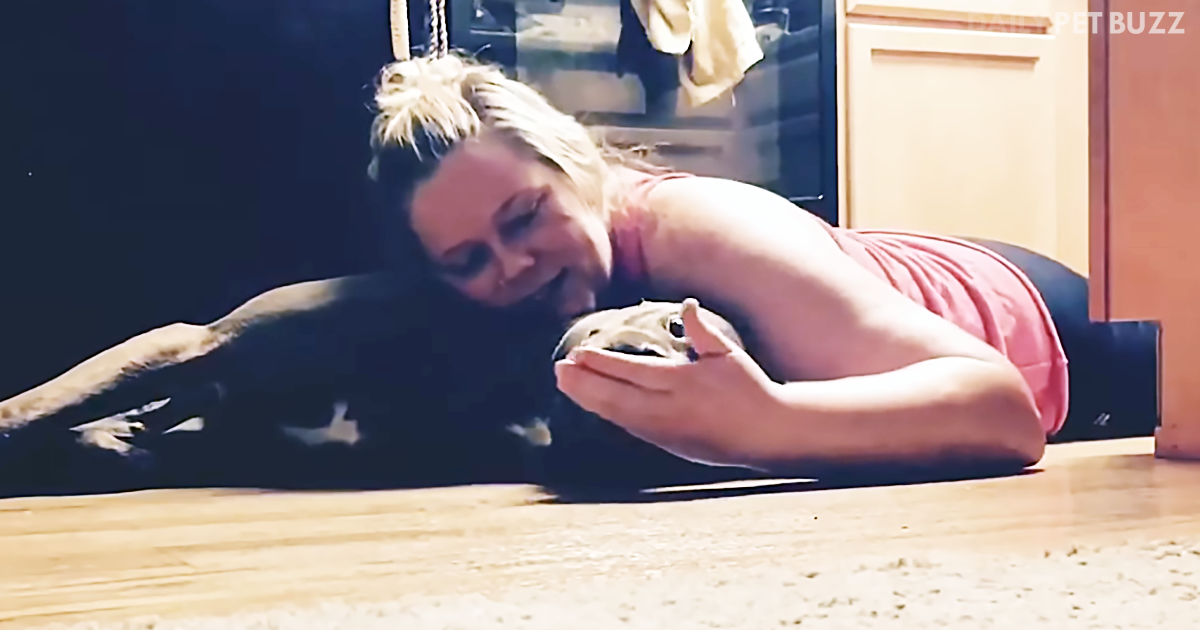 This Incredibly Smart Service Dog Protects His Mom's Head During A Seizure
