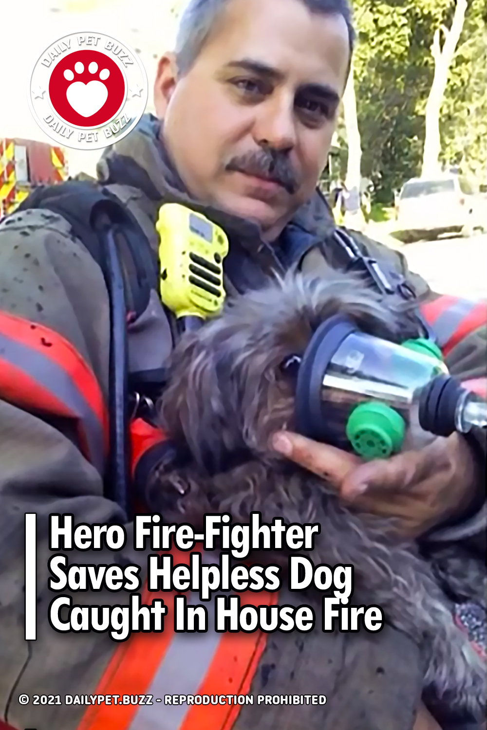 Hero Fire-Fighter Saves Helpless Dog Caught In House Fire
