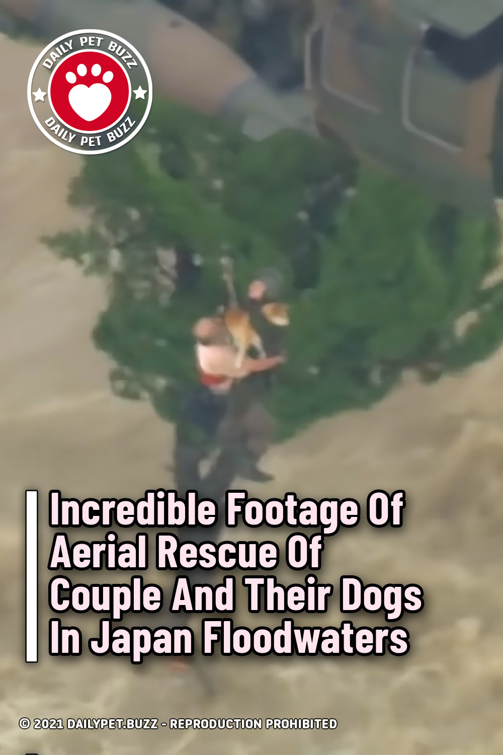 Incredible Footage Of Aerial Rescue Of Couple And Their Dogs In Japan Floodwaters