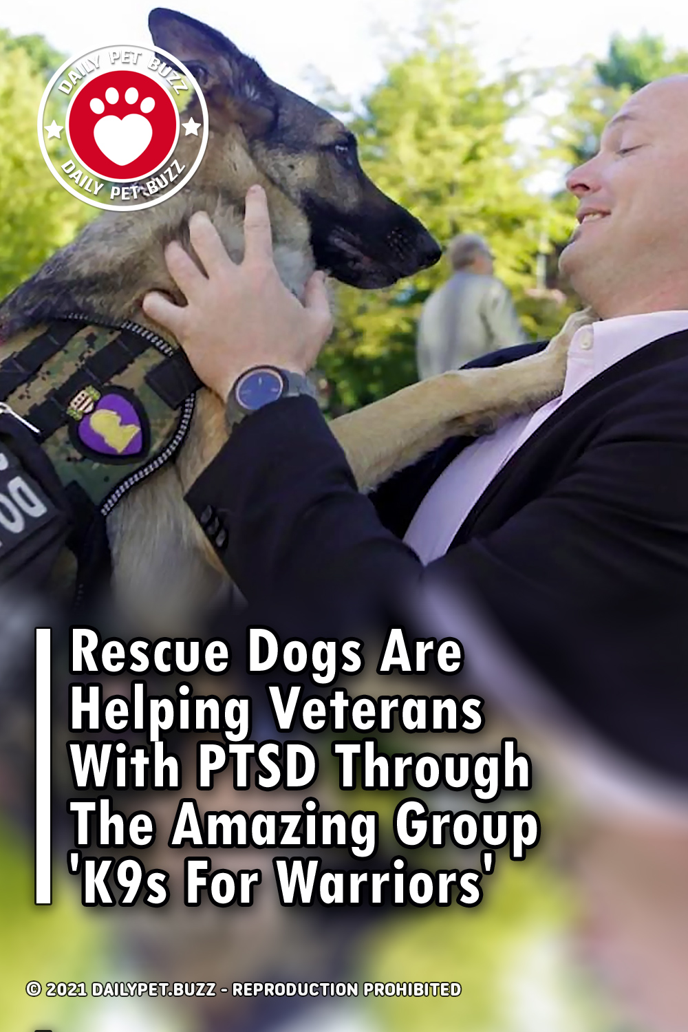 Rescue Dogs Are Helping Veterans With PTSD Through The Amazing Group \'K9s For Warriors\'
