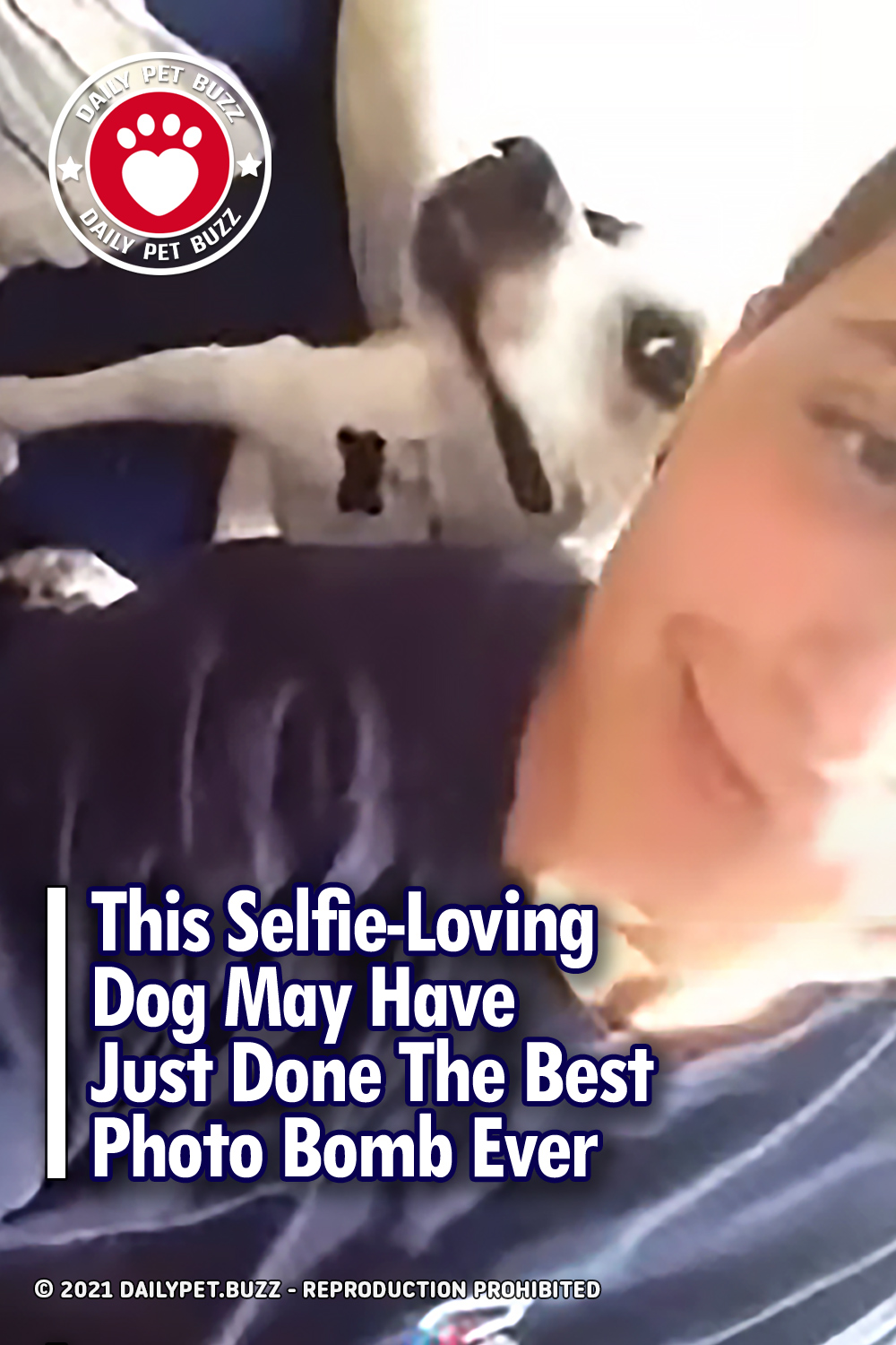 This Selfie-Loving Dog May Have Just Done The Best Photo Bomb Ever