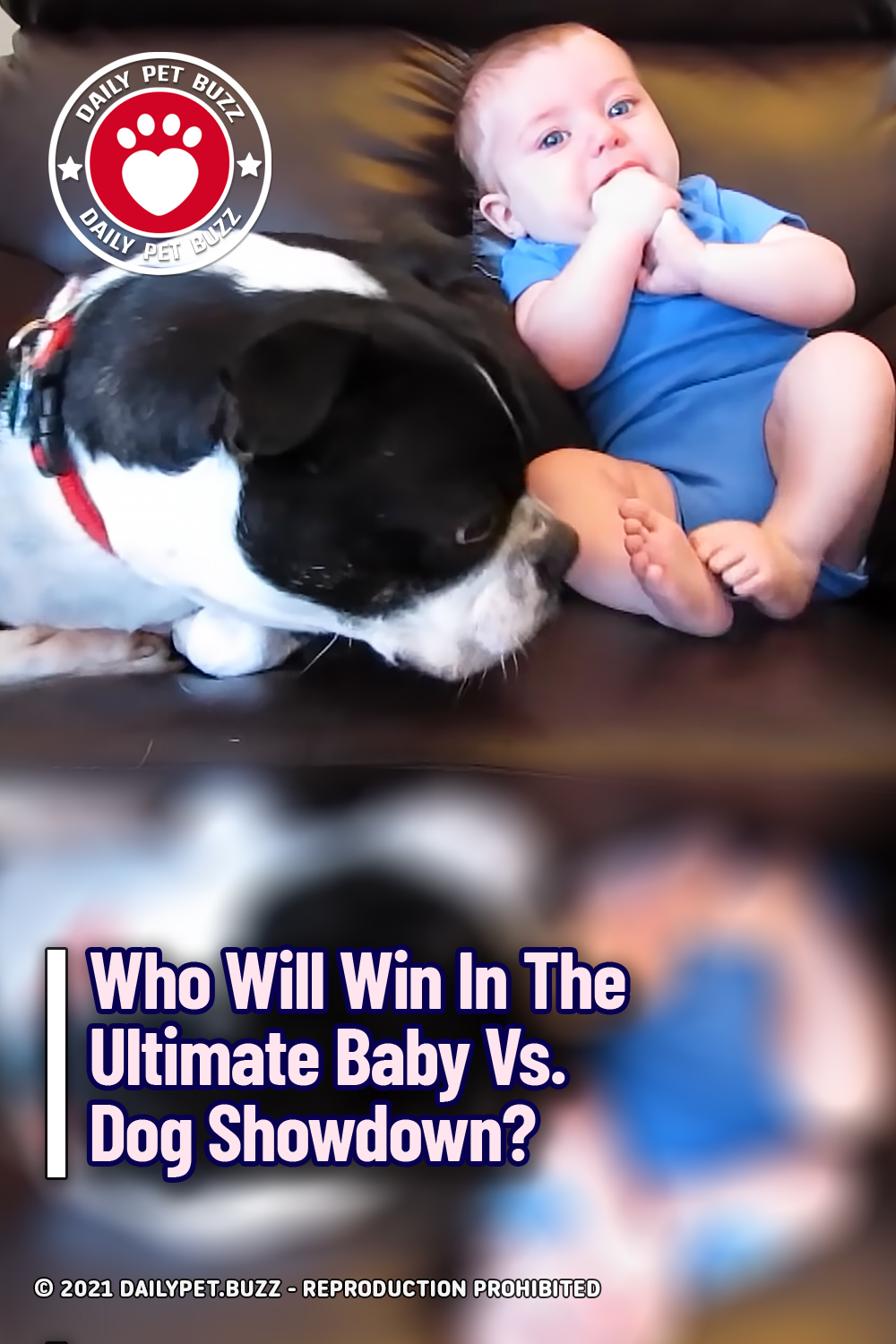 Who Will Win In The Ultimate Baby Vs. Dog Showdown?