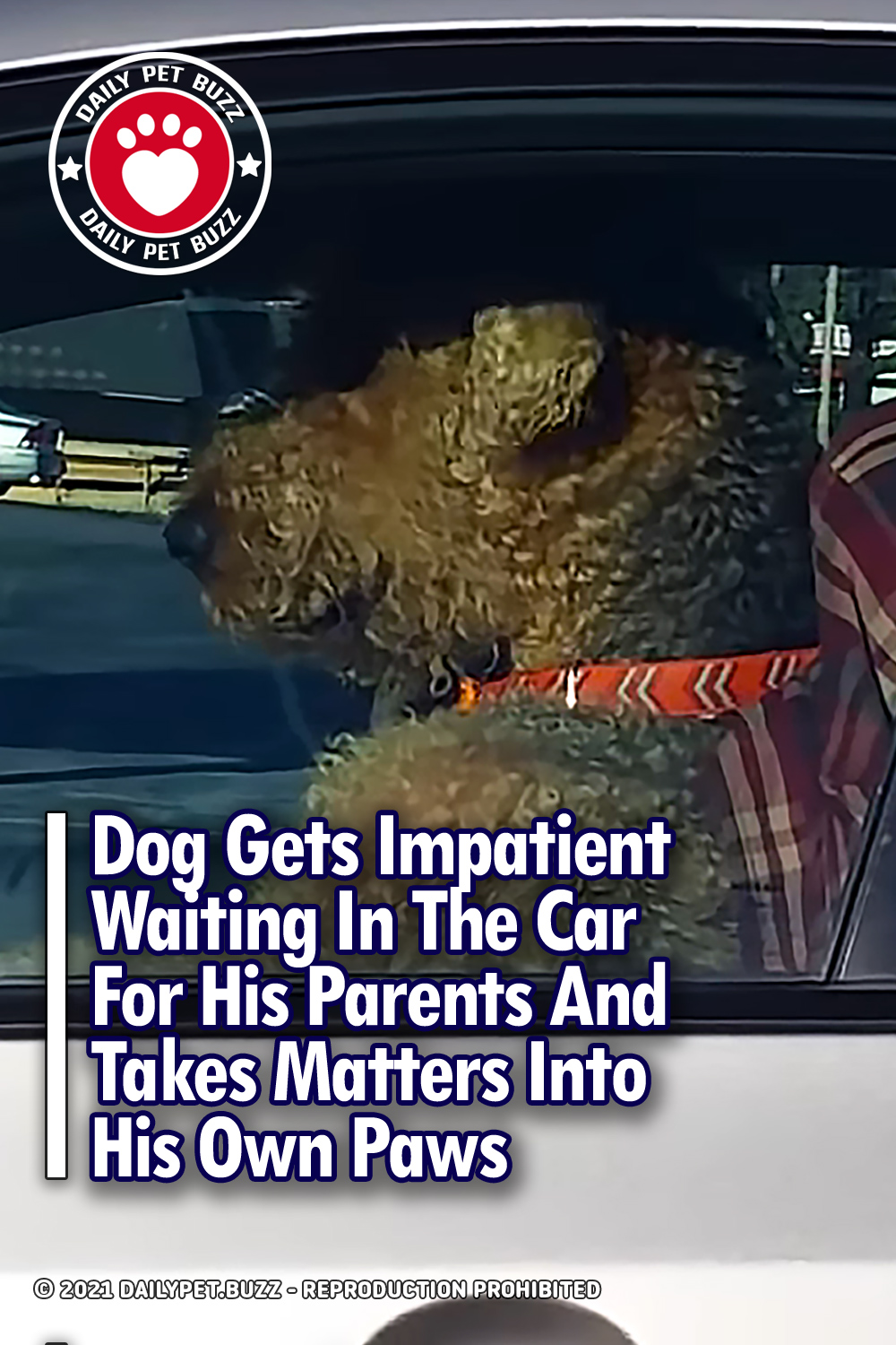 Dog Gets Impatient Waiting In The Car For His Parents And Takes Matters Into His Own Paws