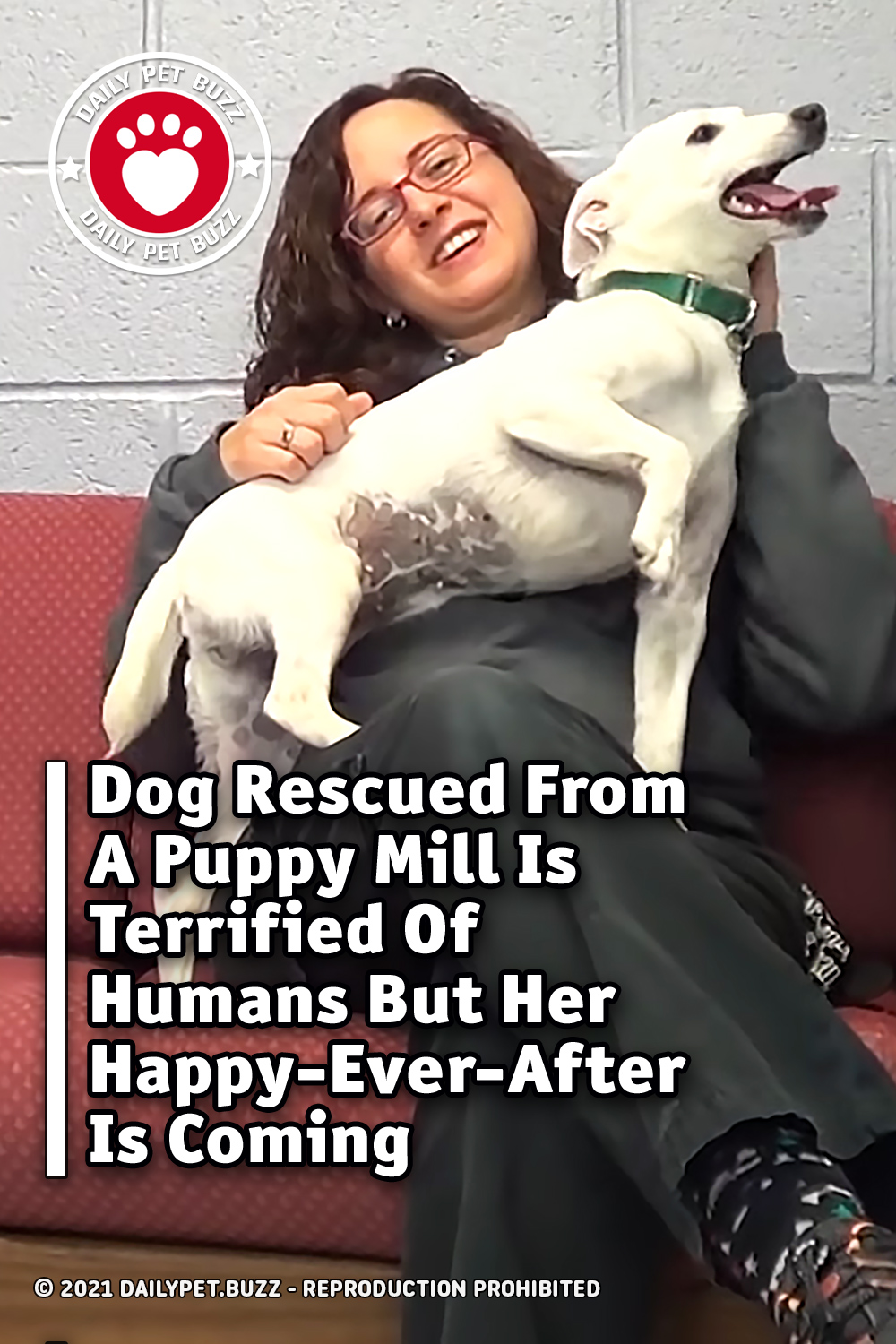 Dog Rescued From A Puppy Mill Is Terrified Of Humans But Her Happy-Ever-After Is Coming