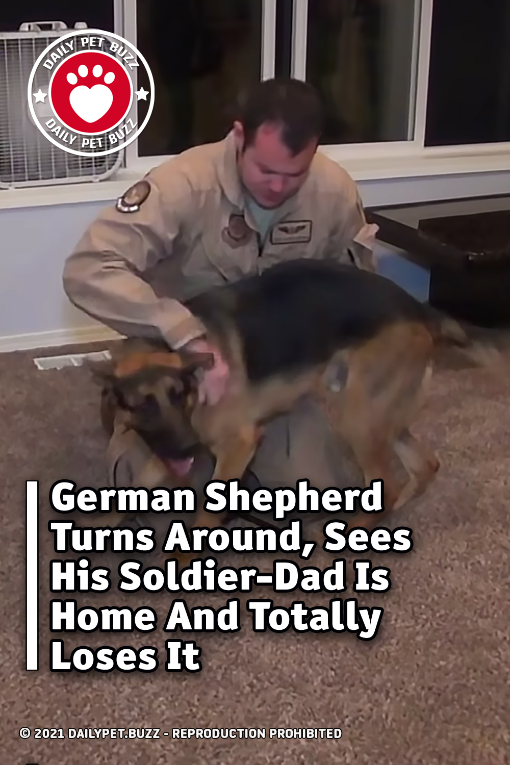 German Shepherd Turns Around, Sees His Soldier-Dad Is Home And Totally Loses It