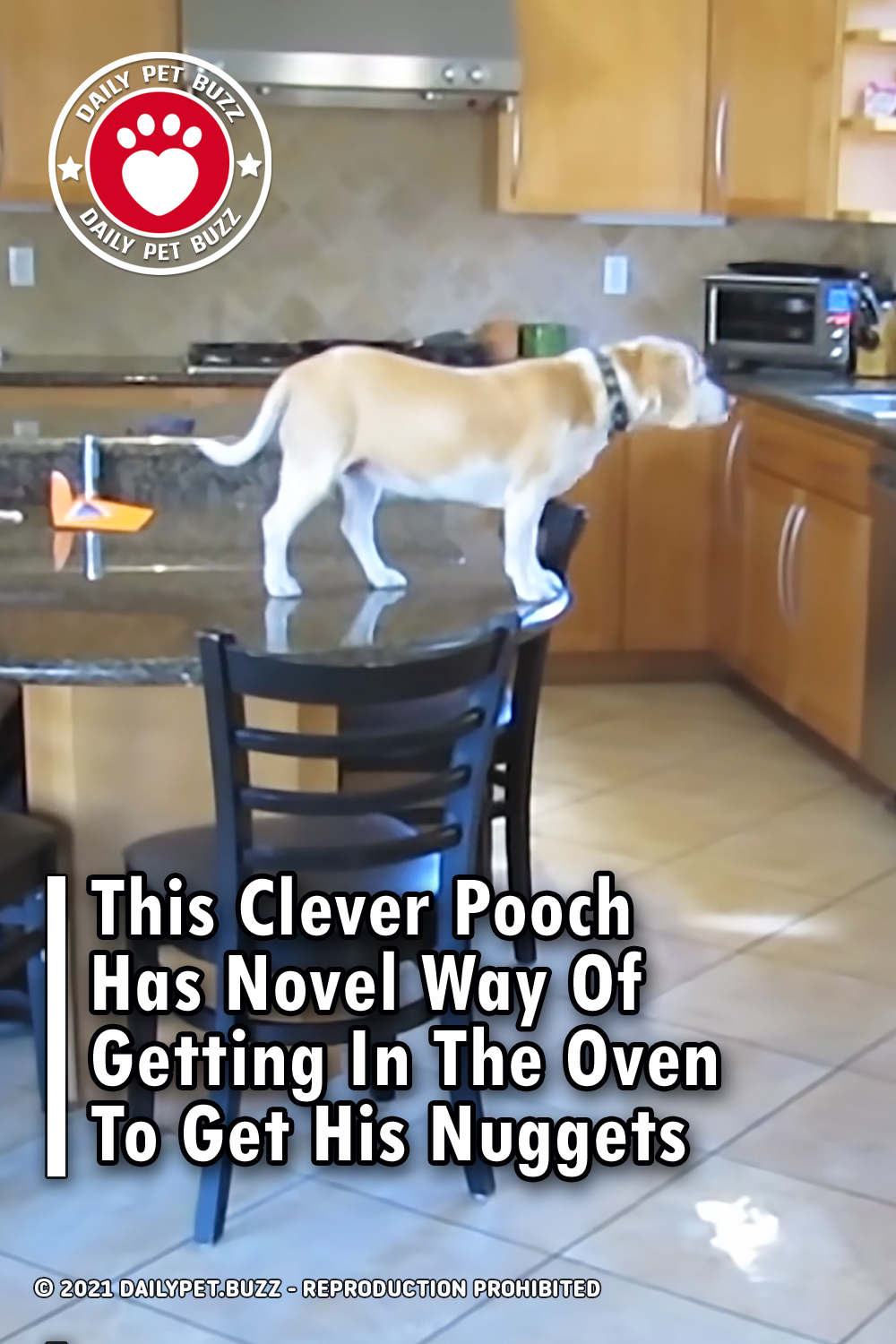 This Clever Pooch Has Novel Way Of Getting In The Oven To Get His Nuggets