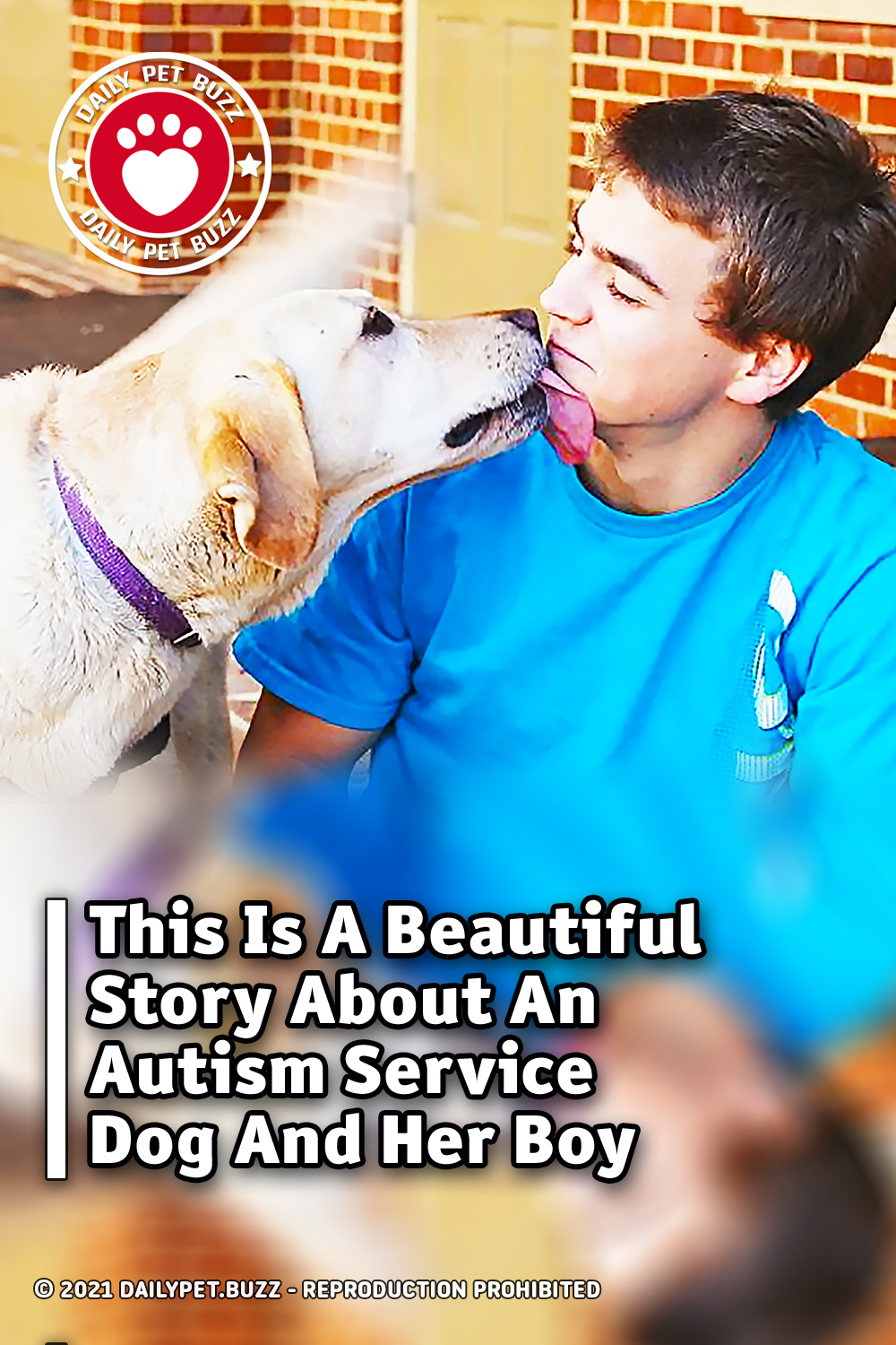 This Is A Beautiful Story About An Autism Service Dog And Her Boy
